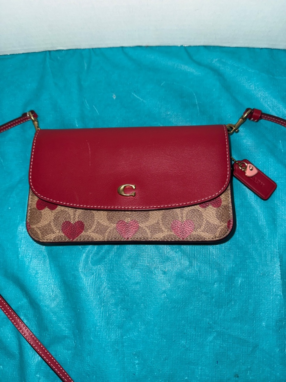 Coach Hayden Crossbody with a Heart Print.